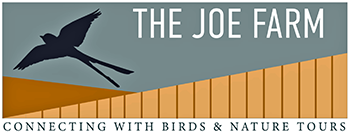 The Joe Farm logo